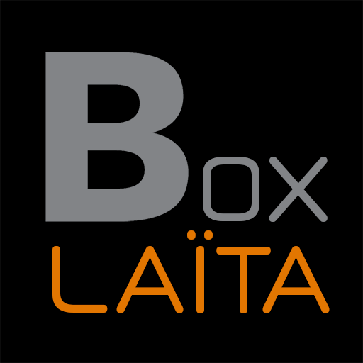 Box Laita stockage Logo